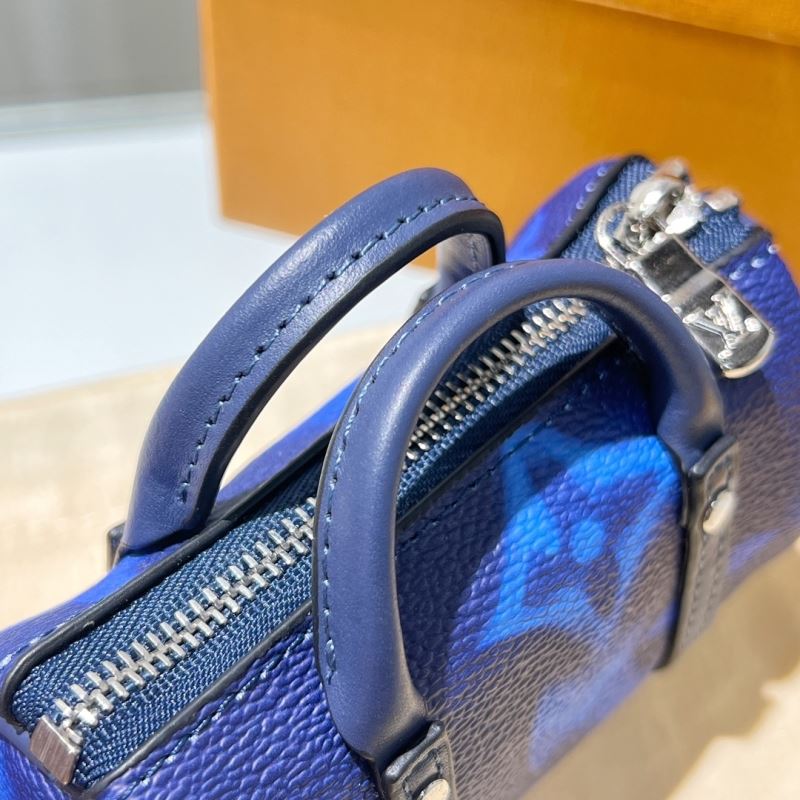 Louis Vuitton Bags Accessories